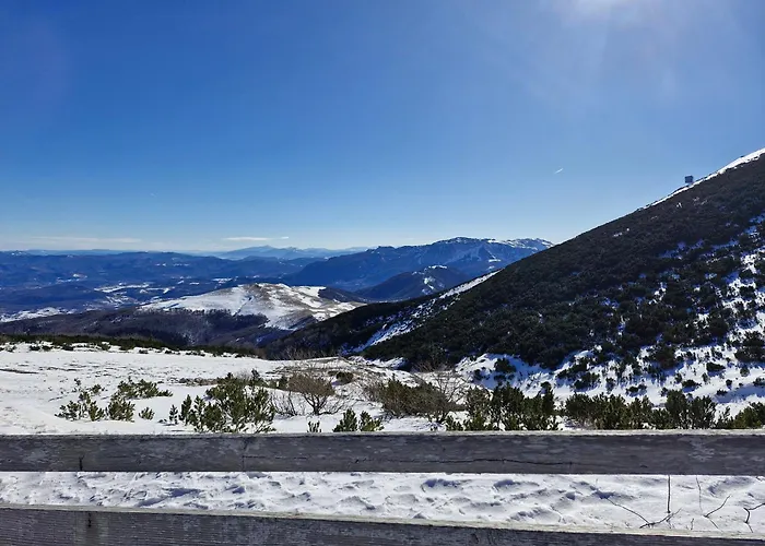 Pineta Apartman Bjelasnica