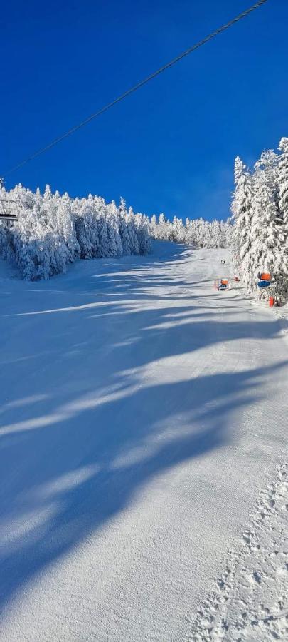 Pineta Bjelašnica