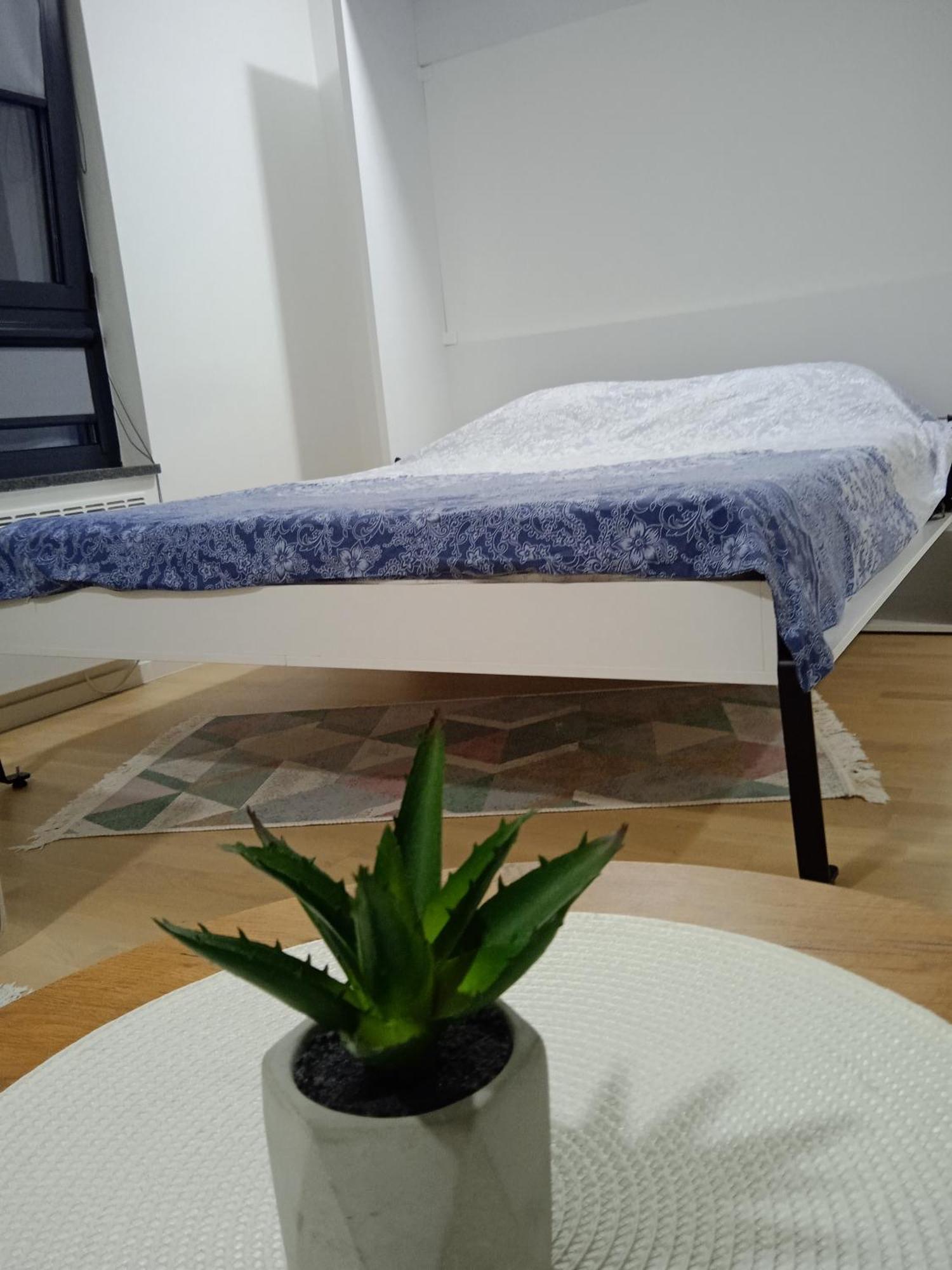 Pineta Apartment